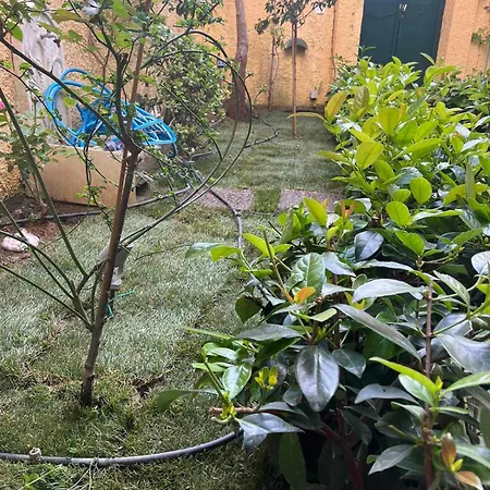 Apartment τhe Hidden Garden *